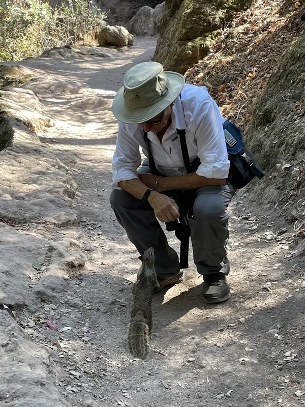 California Ground Squirrel