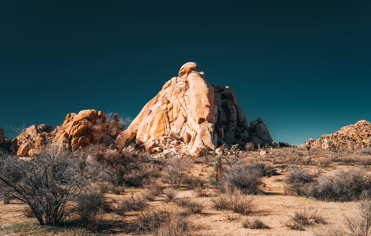 Joshua Tree National Park