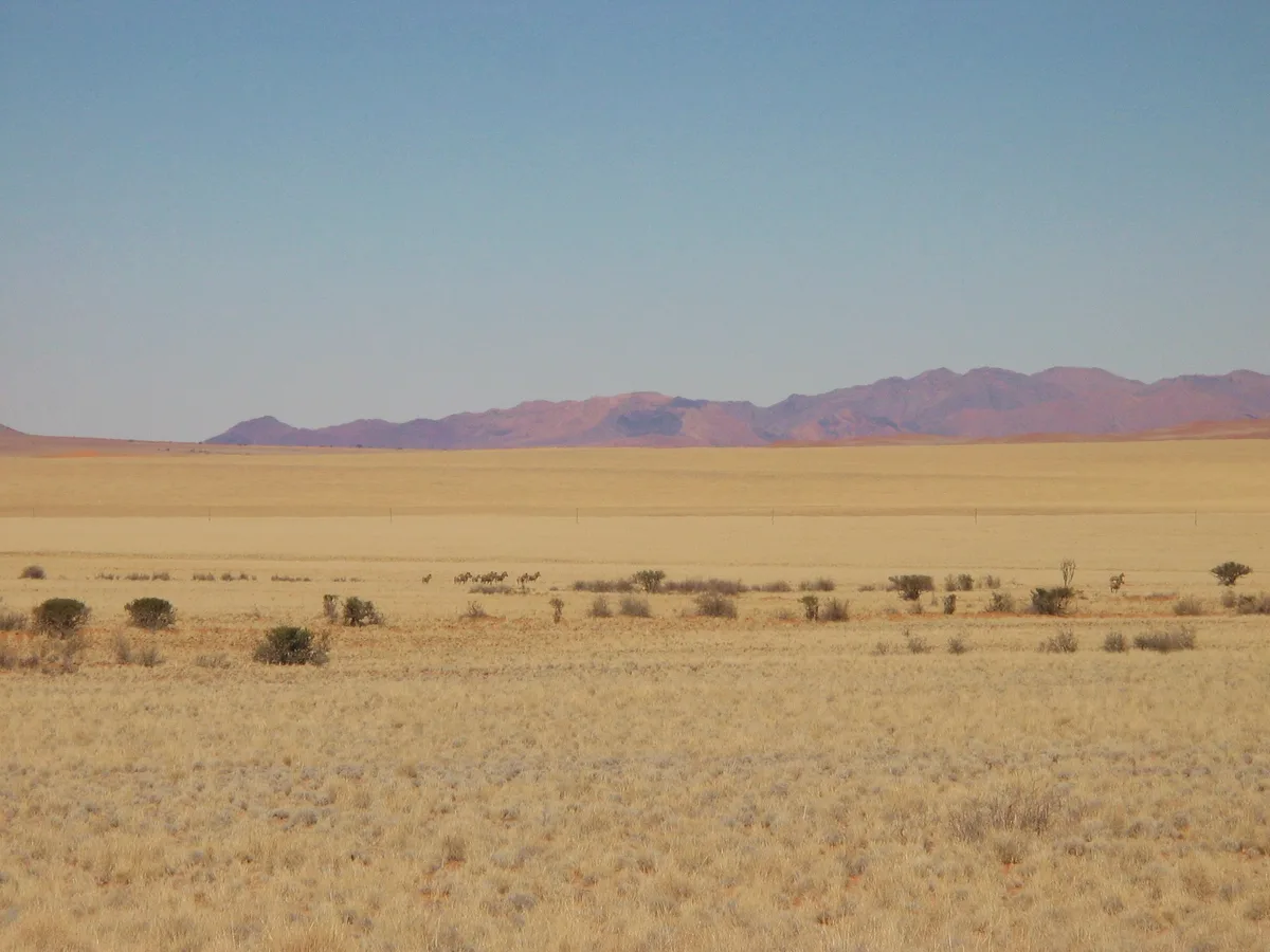 NamibRand Nature Reserve