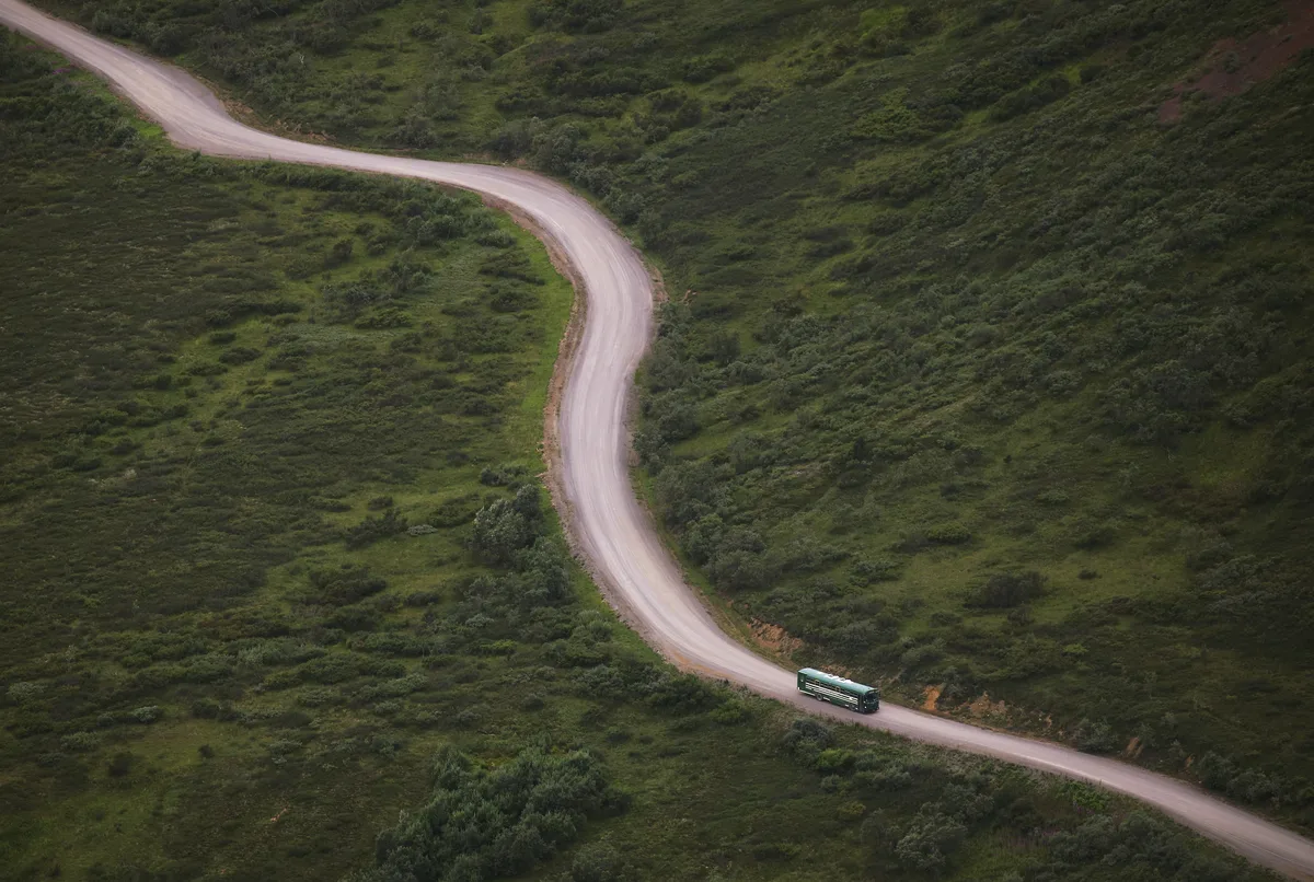 Denali Park Road