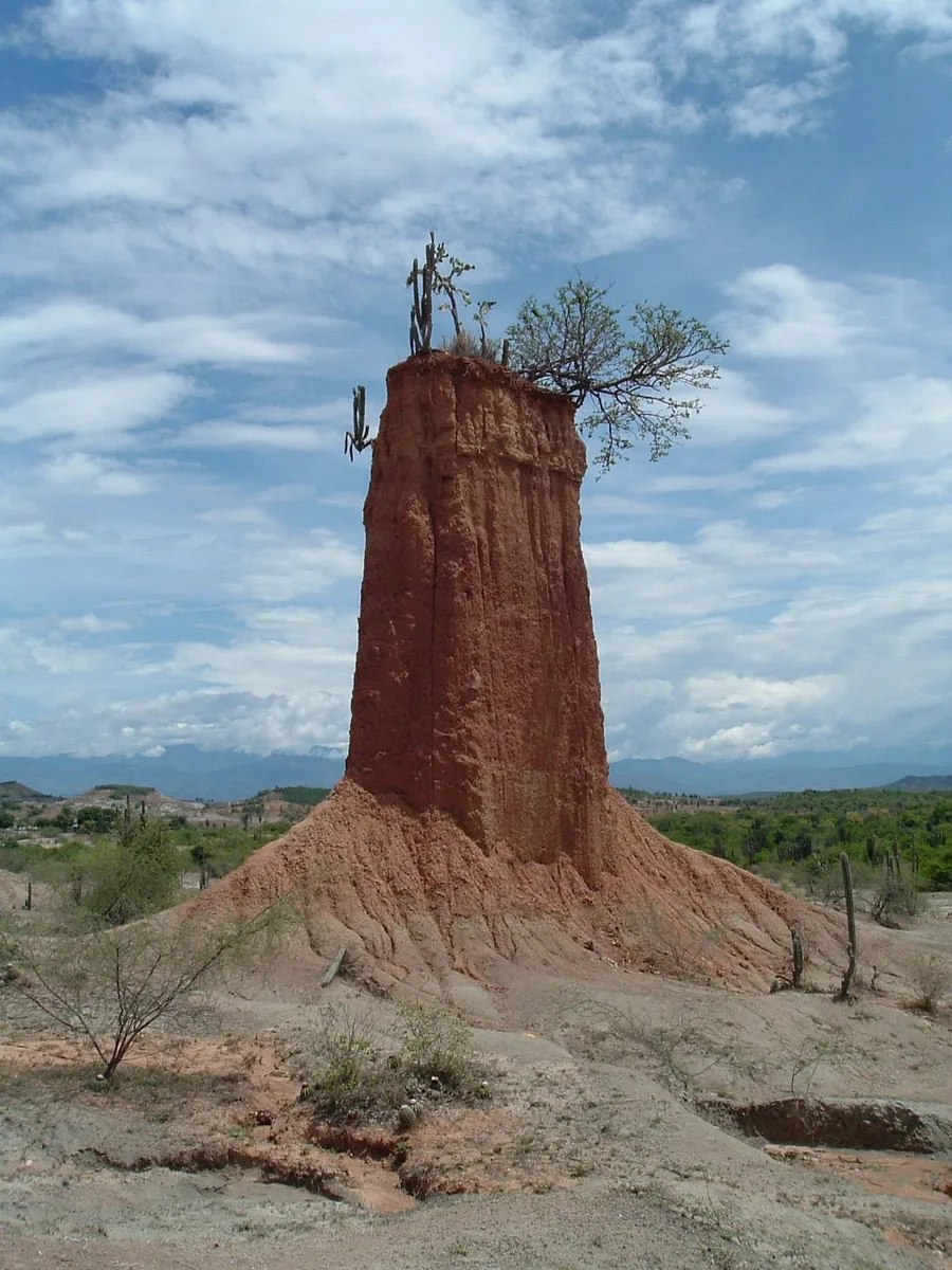 The Tatacoa Desert
