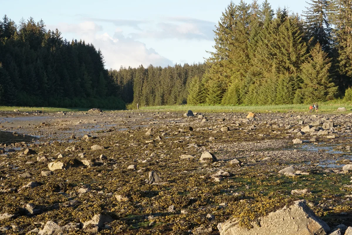 Bartlett Cove