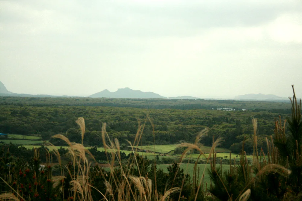 Hallasan
